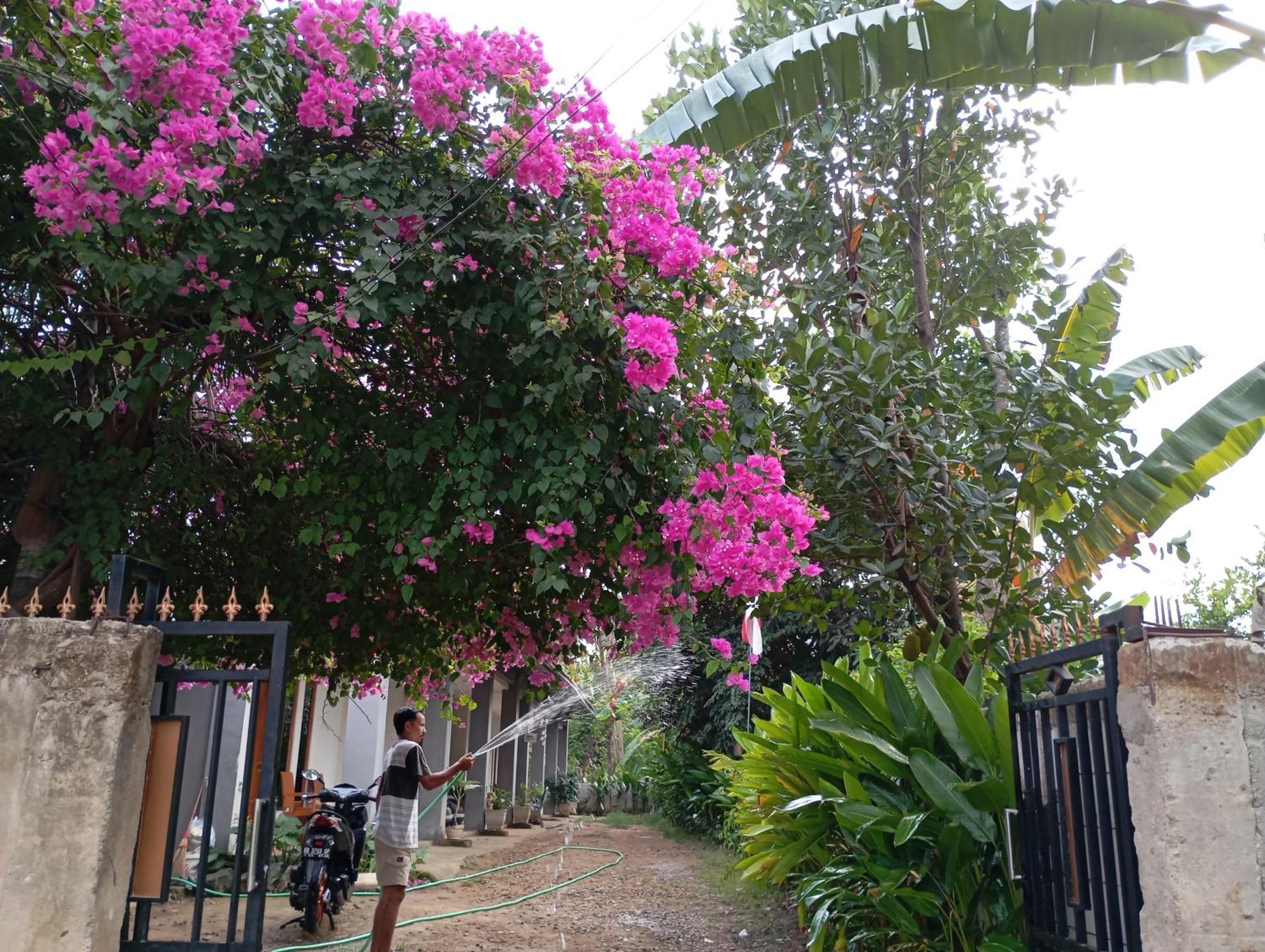 Wl Guesthouse Labuan Bajo Esterno foto